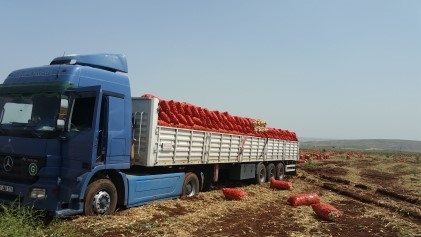 Detayl� Bilgi ��in T�klay�n�z! 