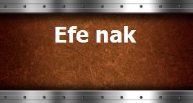 Detayl� Bilgi ��in T�klay�n�z! 