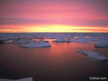 Detayl� Bilgi ��in T�klay�n�z! 